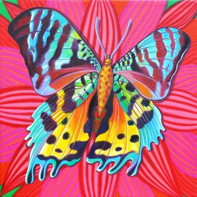 Sunset Moth, 2014 by Jane Tattersfield